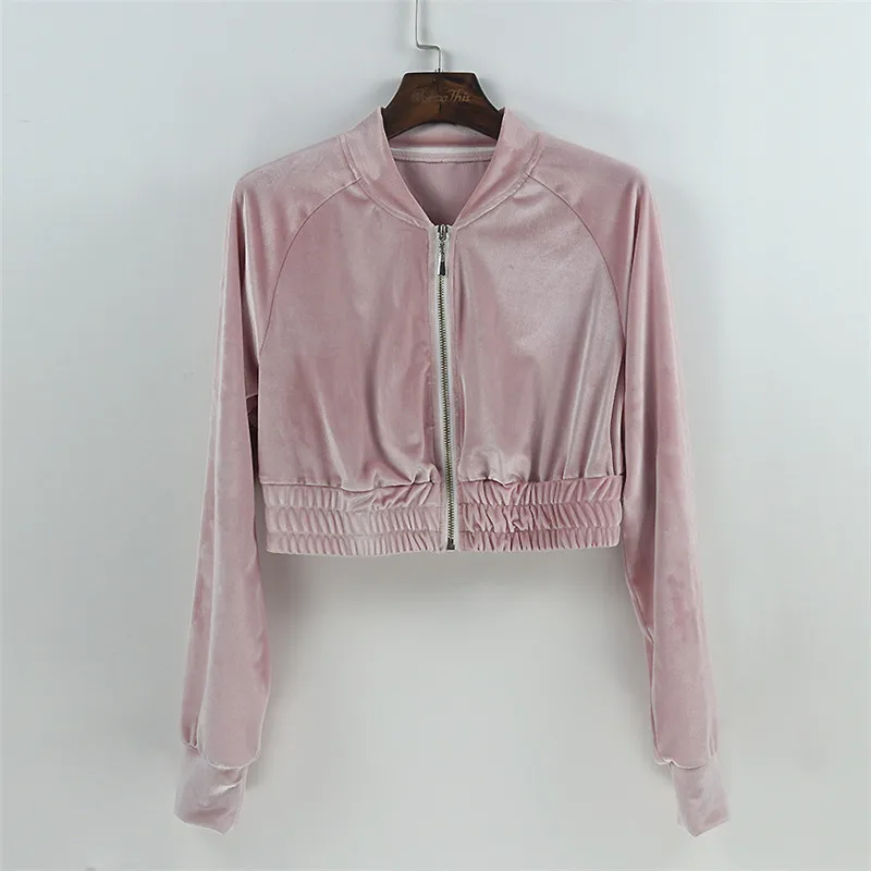 Velvet Tracksuit Set Women Sexy Long Sleeve Zipper Short Top And Pants Suit Runway Fashion Femme Trainingspak WS2345C
Velvet Tracksuit Set Women Sexy Long Sleeve Zipper Short Top And Pants Suit Runway Fashion Femme Trainingspak WS2345C