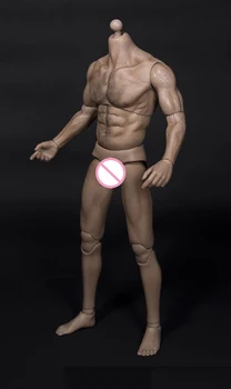 1/6 Wide Shoulder Muscular Wolverine Strong Durable AT012 12'' Man Figure Body for 1/6 Scale Man Head Sculpt
1/6 Wide Shoulder Muscular Wolverine Strong Durable AT012 12'' Man Figure Body for 1/6 Scale Man Head Sculpt