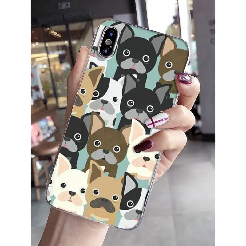 Cat Cartoon Cute Mouse Pig Cats Dog