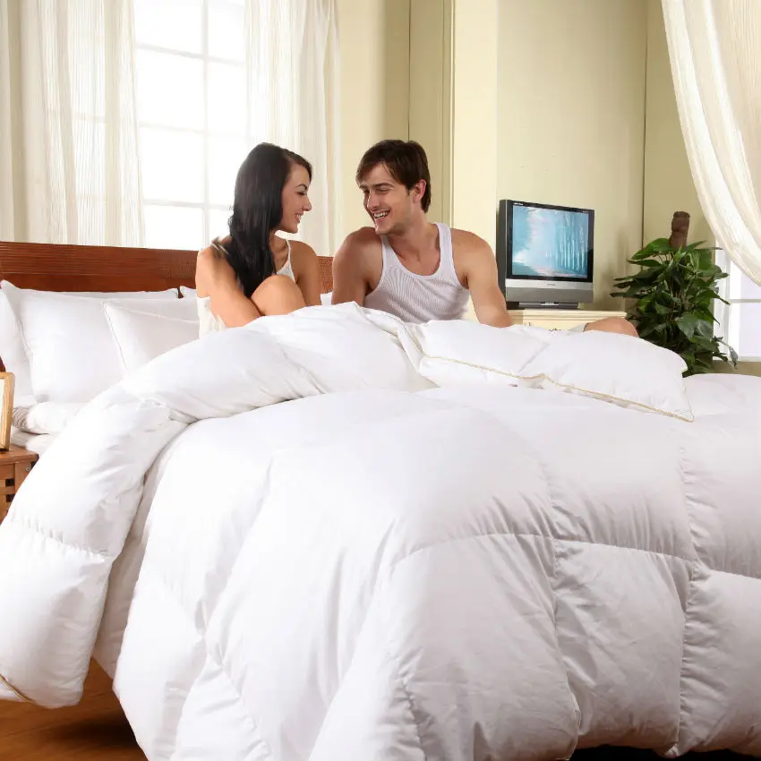 Down Quilt w/ Cotton Cover Twin/Full/Queen/King Size