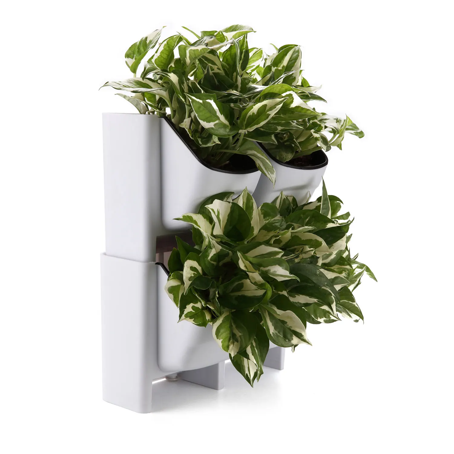Plastic Self Watering Vertical Living Wall Planter Plant Stackble Wall Mounted Indoor Outdoor Herb Vegetable Flower Pack of 2
Plastic Self Watering Vertical Living Wall Planter Plant Stackble Wall Mounted Indoor Outdoor Herb Vegetable Flower Pack of 2