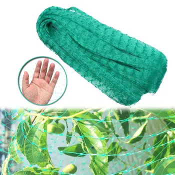 Anti-Bird Mesh Protect Tree Net Fruit Crop Plant Catcher Netting Pond Net Fishing Net Trap Crop Garden Mesh Protect Pest Control
Anti-Bird Mesh Protect Tree Net Fruit Crop Plant Catcher Netting Pond Net Fishing Net Trap Crop Garden Mesh Protect Pest Control