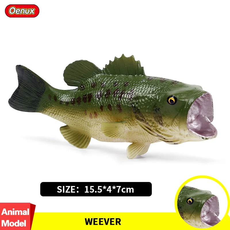 Oenux Lifelike Sealife Bass Fish Simulation Ocean Marine Animal Weever Sea Perch Action Figure Model PVC Collection Toy For Kids
Oenux Lifelike Sealife Bass Fish Simulation Ocean Marine Animal Weever Sea Perch Action Figure Model PVC Collection Toy For Kids