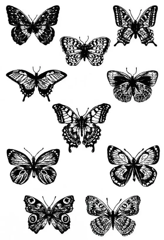 Ink painting butterfly Transparent Clear Silicone Stamp Seal DIY Scrapbooking photo Album A0257
Ink painting butterfly Transparent Clear Silicone Stamp Seal DIY Scrapbooking photo Album A0257