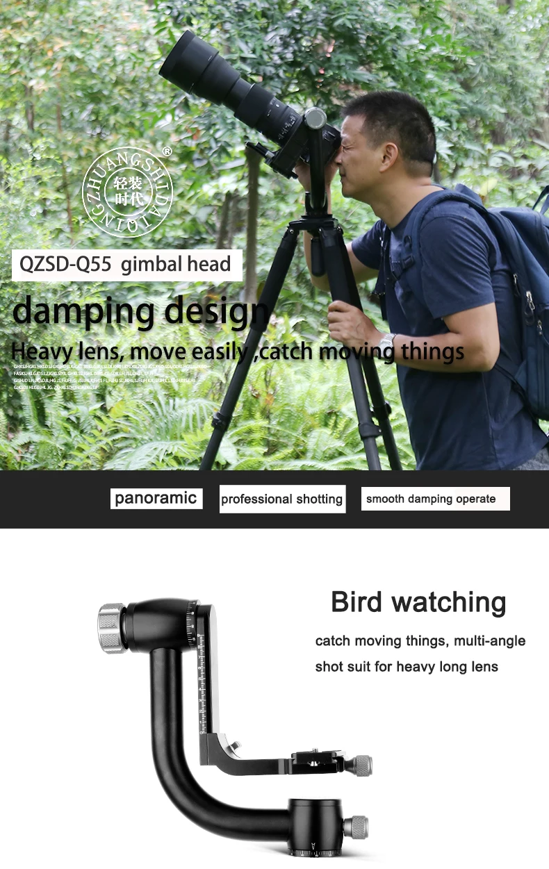 gimbal head-1