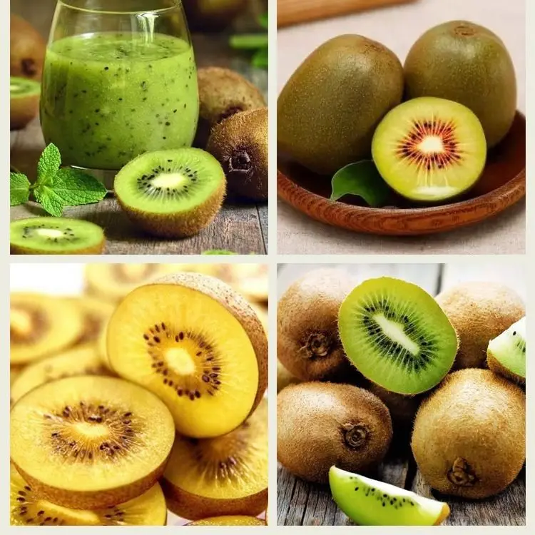 200Pcs Imported nutritious and delicious kiwi fruit King of fruits Fruit tree For Home Garden Plant Easy To Grow
200Pcs Imported nutritious and delicious kiwi fruit King of fruits Fruit tree For Home Garden Plant Easy To Grow