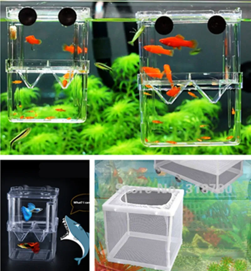 1Pc Small Aquarium Fish Hatchery Breeding Isolation Box Tank Fry Trap Floating Fish Baby Hatchery Breeder Net
1Pc Small Aquarium Fish Hatchery Breeding Isolation Box Tank Fry Trap Floating Fish Baby Hatchery Breeder Net