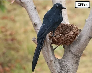 cute simulation turned crow model foam&furs black bird doll gift about 21cm xf0396
cute simulation turned crow model foam&furs black bird doll gift about 21cm xf0396