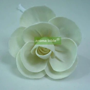 1000 pcs /lot Handmade sola wood flowers for fragrance diffuser and home decor with 12cm Rope or rattan reed sticks Top quality
1000 pcs /lot Handmade sola wood flowers for fragrance diffuser and home decor with 12cm Rope or rattan reed sticks Top quality