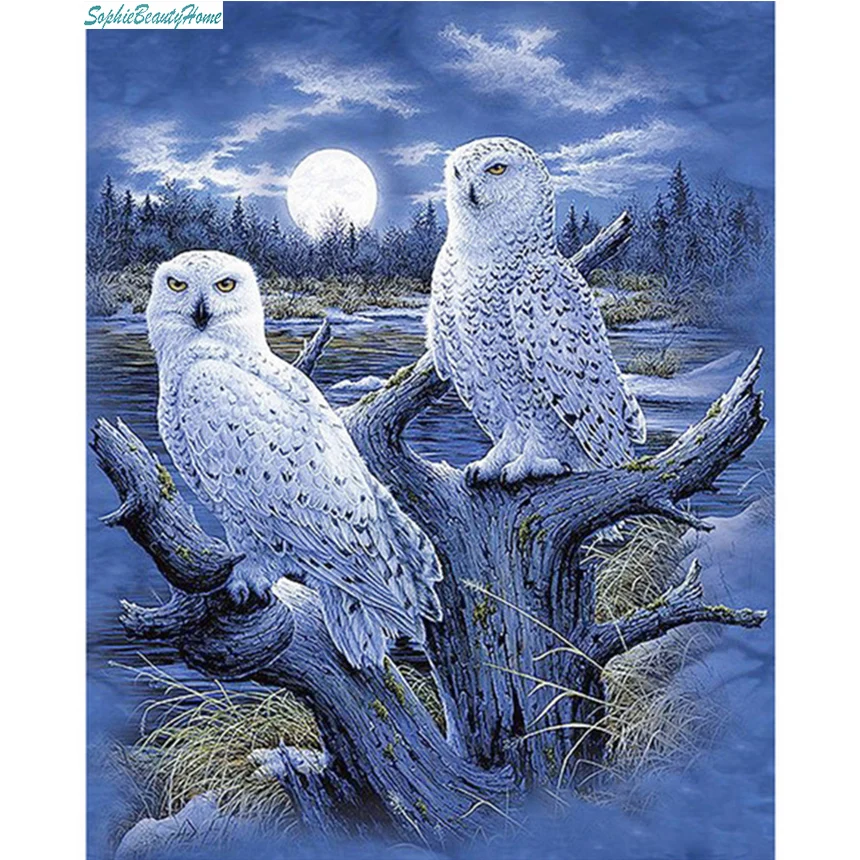 Sophie beauty home DIY diamond embroidery 5D painted diamond cross stitch 3D white owl mosaic wall home decorative stickers
Sophie beauty home DIY diamond embroidery 5D painted diamond cross stitch 3D white owl mosaic wall home decorative stickers