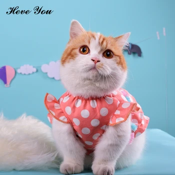 Heve You Puppy Chihuahua Clothing for Pet Supplies Lovely Cat Dress Small Cat Clothes Fashion Pet Dog Clothing Party Pet Clothes
Heve You Puppy Chihuahua Clothing for Pet Supplies Lovely Cat Dress Small Cat Clothes Fashion Pet Dog Clothing Party Pet Clothes