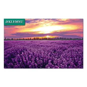 diy mosaic diamond painting cross stitch crystal diamond sets unfinished decor full diamond embroidery craft Lavender Flower Sea
diy mosaic diamond painting cross stitch crystal diamond sets unfinished decor full diamond embroidery craft Lavender Flower Sea