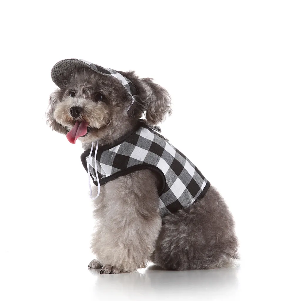 Pet Cats Dog Harness With Leash Hoodies Dog Harness Puppy Cat Collar Pets Chest Strap Party Pet Harnesses Vest fotel wiszacy
Pet Cats Dog Harness With Leash Hoodies Dog Harness Puppy Cat Collar Pets Chest Strap Party Pet Harnesses Vest fotel wiszacy