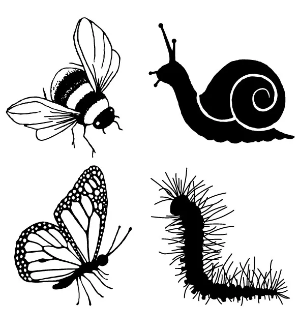 insect Transparent Clear Stamps for DIY Scrapbooking/Card Making/Kids Christmas Fun Decoration Supplies
insect Transparent Clear Stamps for DIY Scrapbooking/Card Making/Kids Christmas Fun Decoration Supplies