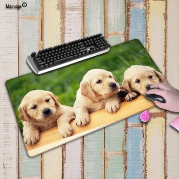 Mairuige Three Cute Dog Extra Large Mouse Pad Gaming Mousepad Anti-slip Natural Rubber Gaming Mouse Mat with White Locking Edge
Mairuige Three Cute Dog Extra Large Mouse Pad Gaming Mousepad Anti-slip Natural Rubber Gaming Mouse Mat with White Locking Edge