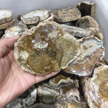 Natural mineral woodenstone Crystal gemstone disk reiki healing chakra fossil Madagascar crystal coaster home decoration
Natural mineral woodenstone Crystal gemstone disk reiki healing chakra fossil Madagascar crystal coaster home decoration