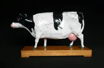 Veterinarian's Cattle Cow Bovine Acupuncture Model in trauma anatomy skeleton dental anatomical shadow medical training manikins
Veterinarian's Cattle Cow Bovine Acupuncture Model in trauma anatomy skeleton dental anatomical shadow medical training manikins
