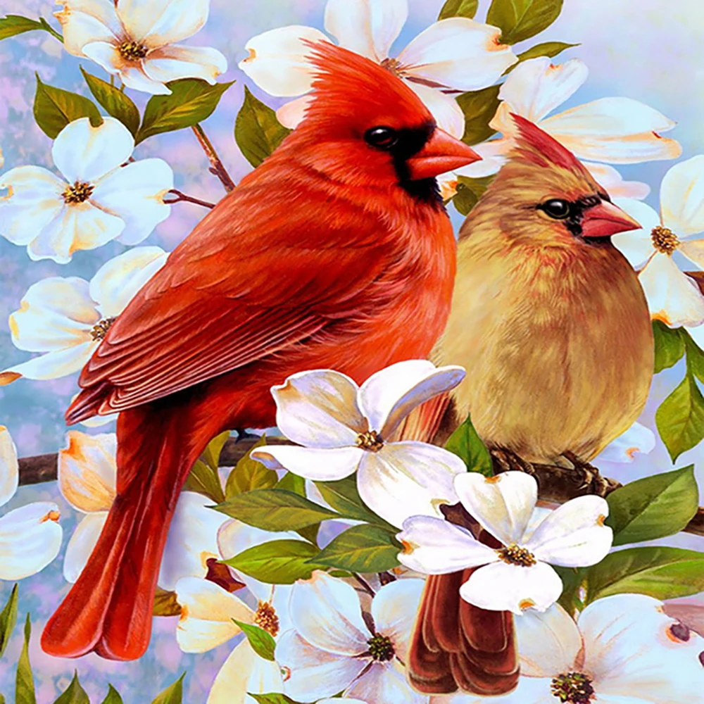 Full Square/round Diamond 5D DIY Diamond Painting birds on the tree Embroidery Cross Stitch Rhinestone Mosaic Home Decor
Full Square/round Diamond 5D DIY Diamond Painting birds on the tree Embroidery Cross Stitch Rhinestone Mosaic Home Decor