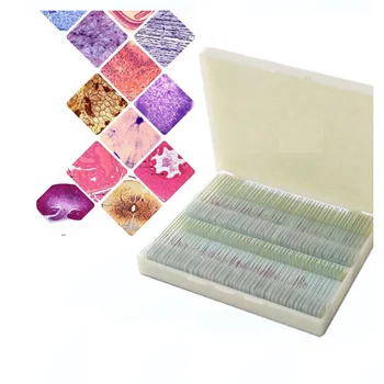 100PCS Prepared Human Histology Embryology Specimen Section Microscope Slides for Biology Study
100PCS Prepared Human Histology Embryology Specimen Section Microscope Slides for Biology Study