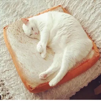 Hot Sale Cat Mat Anime Simulation Toast Slice Cushion Dog Mat Cute Soft Cartoon Small Dog Cat Bread pillow
Hot Sale Cat Mat Anime Simulation Toast Slice Cushion Dog Mat Cute Soft Cartoon Small Dog Cat Bread pillow