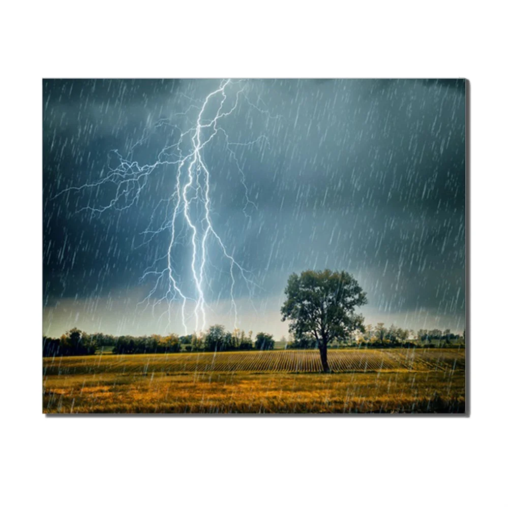 Lightning Storm Natural Weather Tree Abstract Canvas Oil Painting For Home Living Room Office Bedroom Decoration No Frame
Lightning Storm Natural Weather Tree Abstract Canvas Oil Painting For Home Living Room Office Bedroom Decoration No Frame