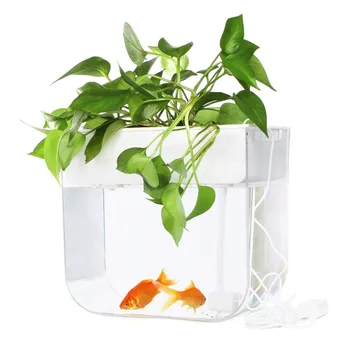 Joyfay Aquaponic Fish Tank- Betta Fish Tank, 3.2 Gallon, Hydroponic Cleaning Tank, 28 x 19.5 x 31 cm
Joyfay Aquaponic Fish Tank- Betta Fish Tank, 3.2 Gallon, Hydroponic Cleaning Tank, 28 x 19.5 x 31 cm