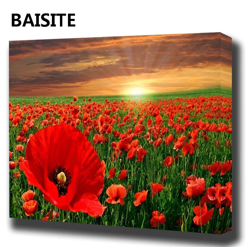 BAISITE DIY Framed Oil Painting By Numbers Animal Pictures Canvas Painting For Living Room Wall Art Home Decor
BAISITE DIY Framed Oil Painting By Numbers Animal Pictures Canvas Painting For Living Room Wall Art Home Decor