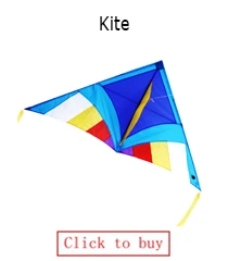 Kite