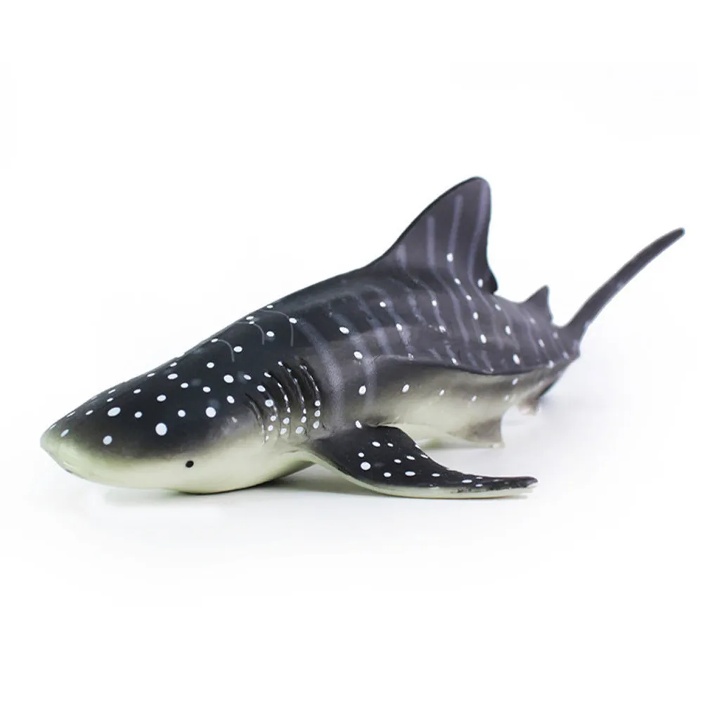 New Cartoon Education Simulated Whale Sharks Model Cartoon Summer Wash Toy Bath Play Water High Quality Drop Shipping
New Cartoon Education Simulated Whale Sharks Model Cartoon Summer Wash Toy Bath Play Water High Quality Drop Shipping