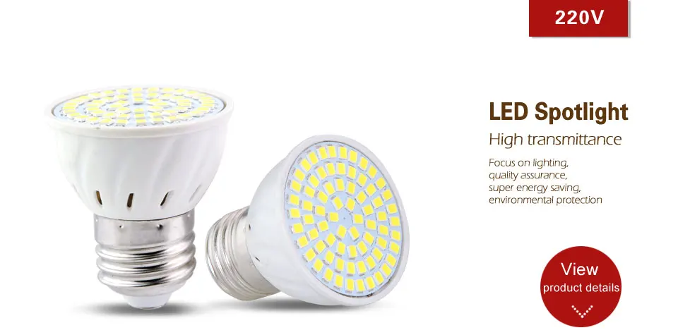 E27 LED Diode lamp (1)