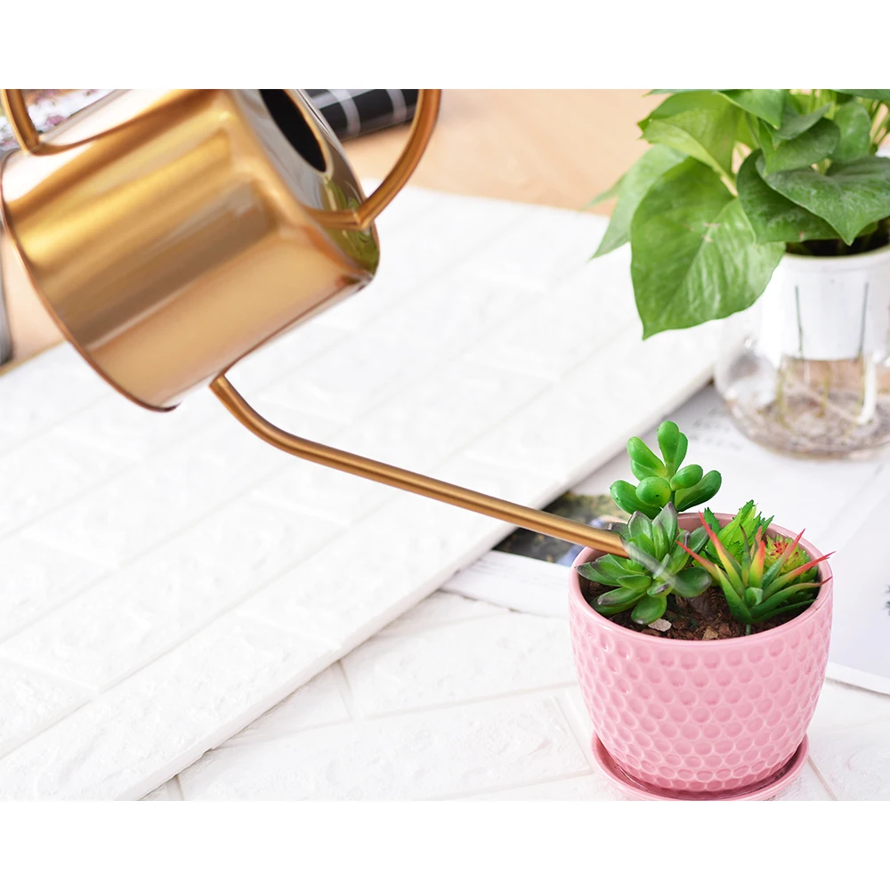 1300ml Stainless Steel Watering Can Gold Garden Small Water Bottle Easy To Use Handle Perfect For Watering Plants Flower
1300ml Stainless Steel Watering Can Gold Garden Small Water Bottle Easy To Use Handle Perfect For Watering Plants Flower