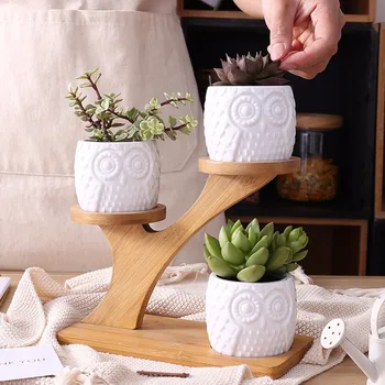 

Wholesale 1 Set Ceramic Decorative Garden Flower Pots Modern White Simple Succulent Plant Holder With 3-level Bamboo Shelf