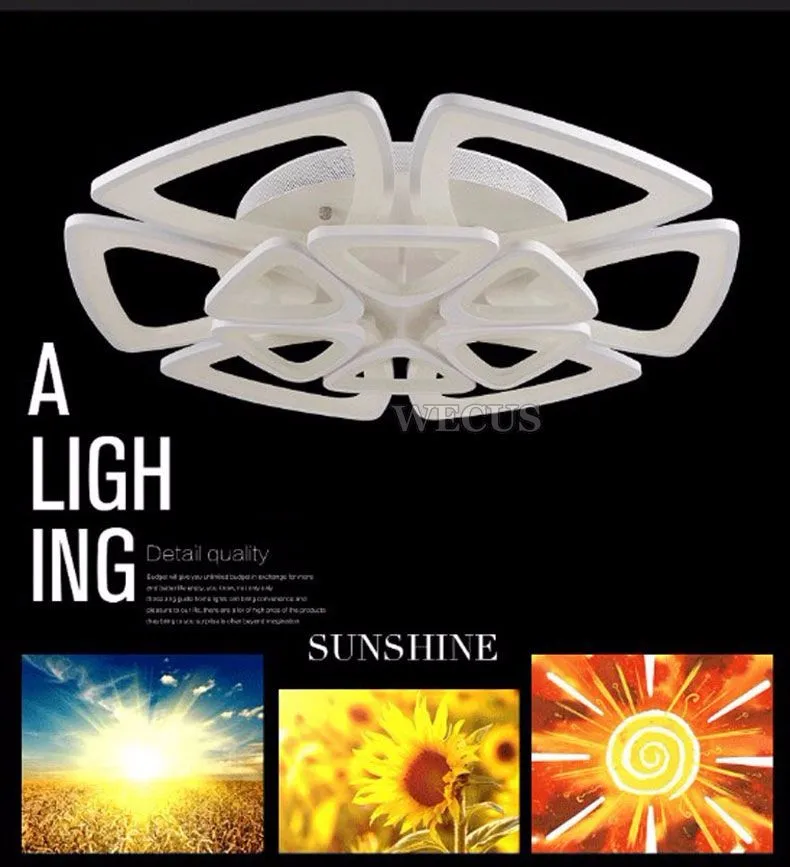 Ceiling lamp-01 (1)