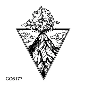 cc 60 (29)