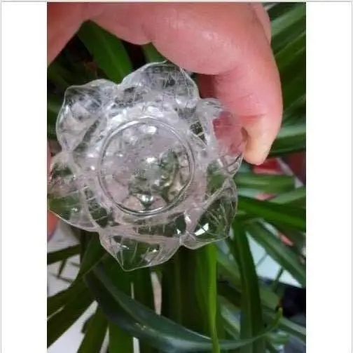 QQ20190406164953
