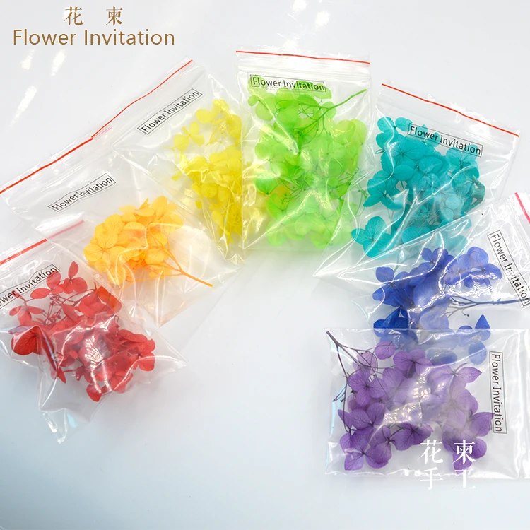 Flower Invitation Small Leaves high-grade Hydrangea A set of 5 packages_DIY manual plant samples dried flowers
Flower Invitation Small Leaves high-grade Hydrangea A set of 5 packages_DIY manual plant samples dried flowers