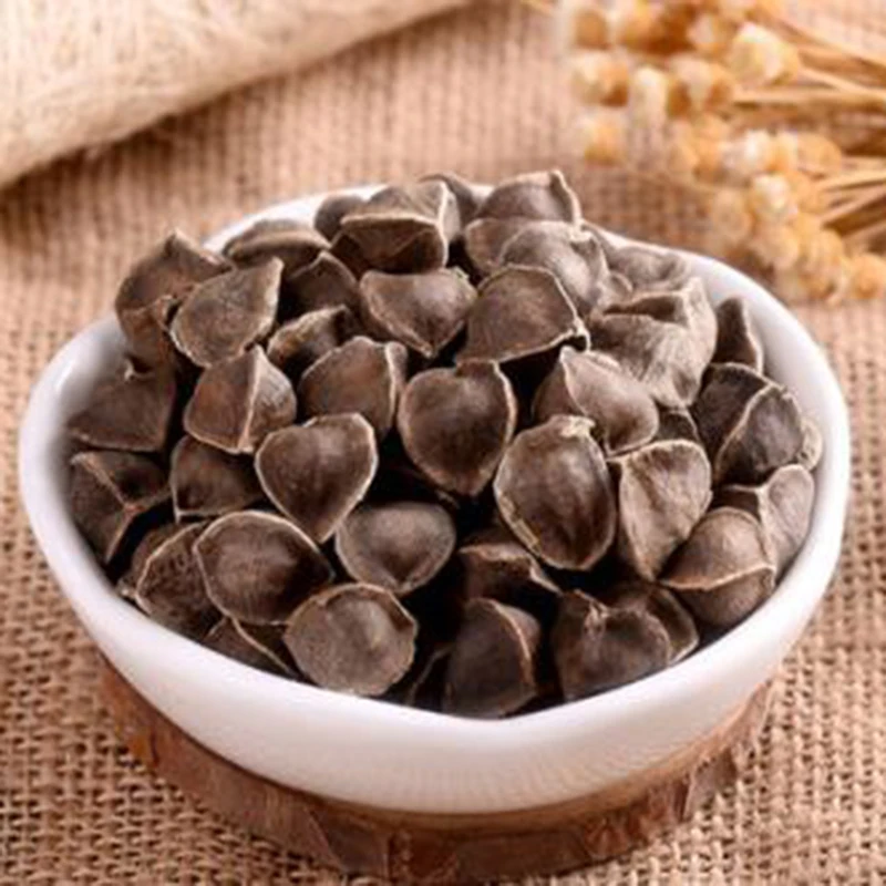 10pcs Moringa Benzoil tree Moringa oleracea is perennial tropical, subtropical deciduous tree for home garden plants
10pcs Moringa Benzoil tree Moringa oleracea is perennial tropical, subtropical deciduous tree for home garden plants