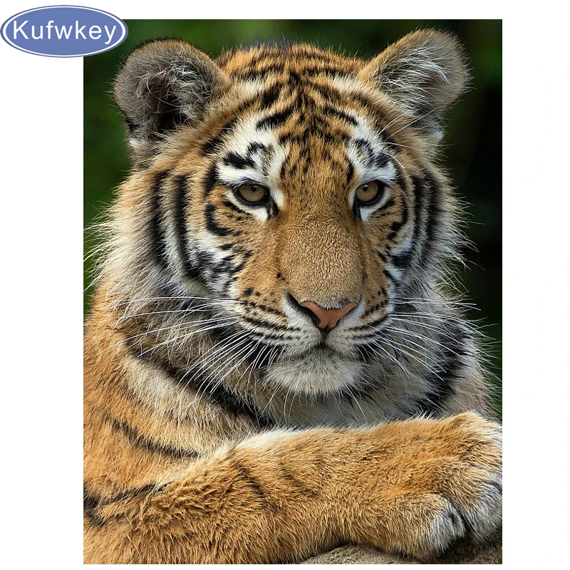 Full Square/Round Drills new DIY Diamond Painting tiger Diamond Embroidery animal Rhinestones painting Cross Stitch wall decor
Full Square/Round Drills new DIY Diamond Painting tiger Diamond Embroidery animal Rhinestones painting Cross Stitch wall decor