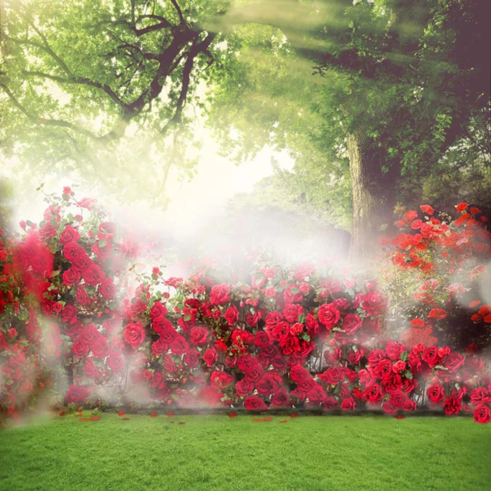Morning Sunshine Through Trees Misty Garden Backdrop for Wedding Photography Printed Red Roses Valentines Background Green Floor
Morning Sunshine Through Trees Misty Garden Backdrop for Wedding Photography Printed Red Roses Valentines Background Green Floor