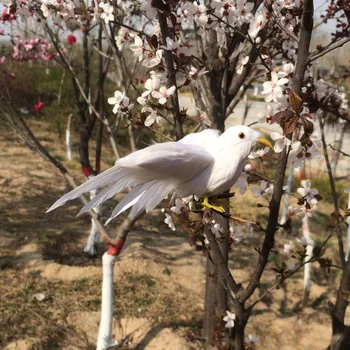 about 12x20cm spreading wings white bird Handmade model, polyethylene& feathers bird ,bonsai decoration toy Xmas gift w3899
about 12x20cm spreading wings white bird Handmade model, polyethylene& feathers bird ,bonsai decoration toy Xmas gift w3899