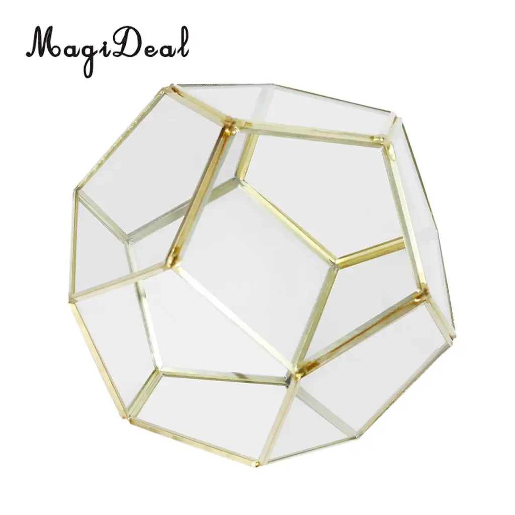 MagiDeal Irregular Glass Geometric Succulent Planter Vase Terrarium Container Immortal flower DIY Box #11
MagiDeal Irregular Glass Geometric Succulent Planter Vase Terrarium Container Immortal flower DIY Box #11