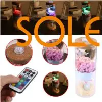 LED Glass Floral Decor Preserved Fresh Flower Forever Rose Flower Rose Glass Cover Lighting Fresh Flower Gift Mother'S Day
LED Glass Floral Decor Preserved Fresh Flower Forever Rose Flower Rose Glass Cover Lighting Fresh Flower Gift Mother'S Day