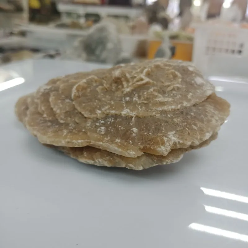 conew_img20190421173352