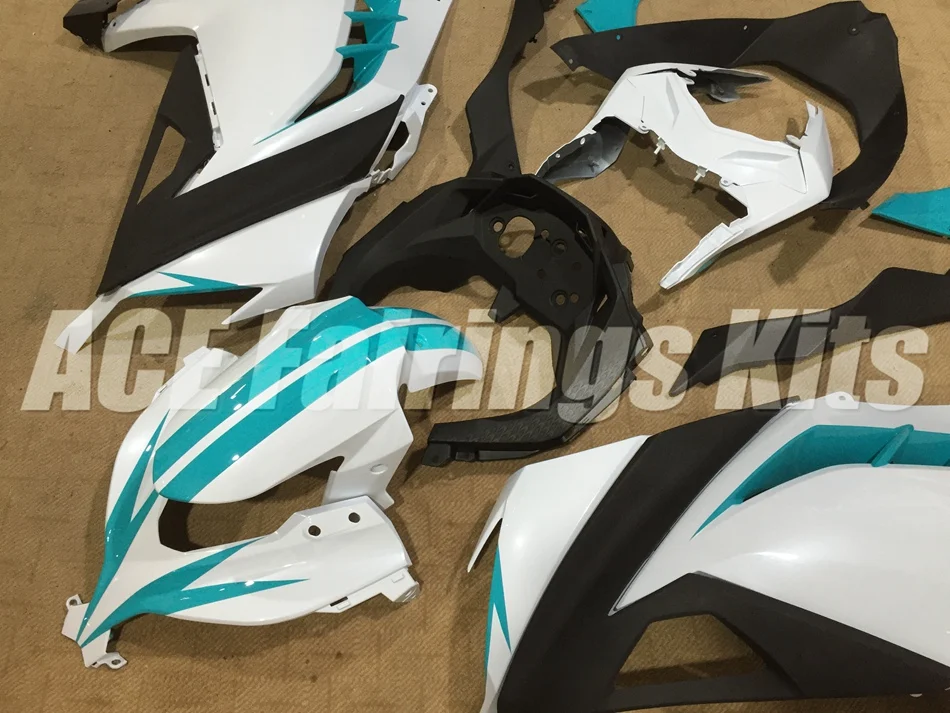 NINJA300 13-14 (387)