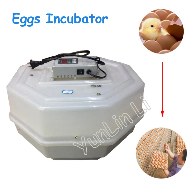 60 Eggs Incubator Digital Temperature Controller Chicken Machine Cheap Incubator Thermostat with Trays