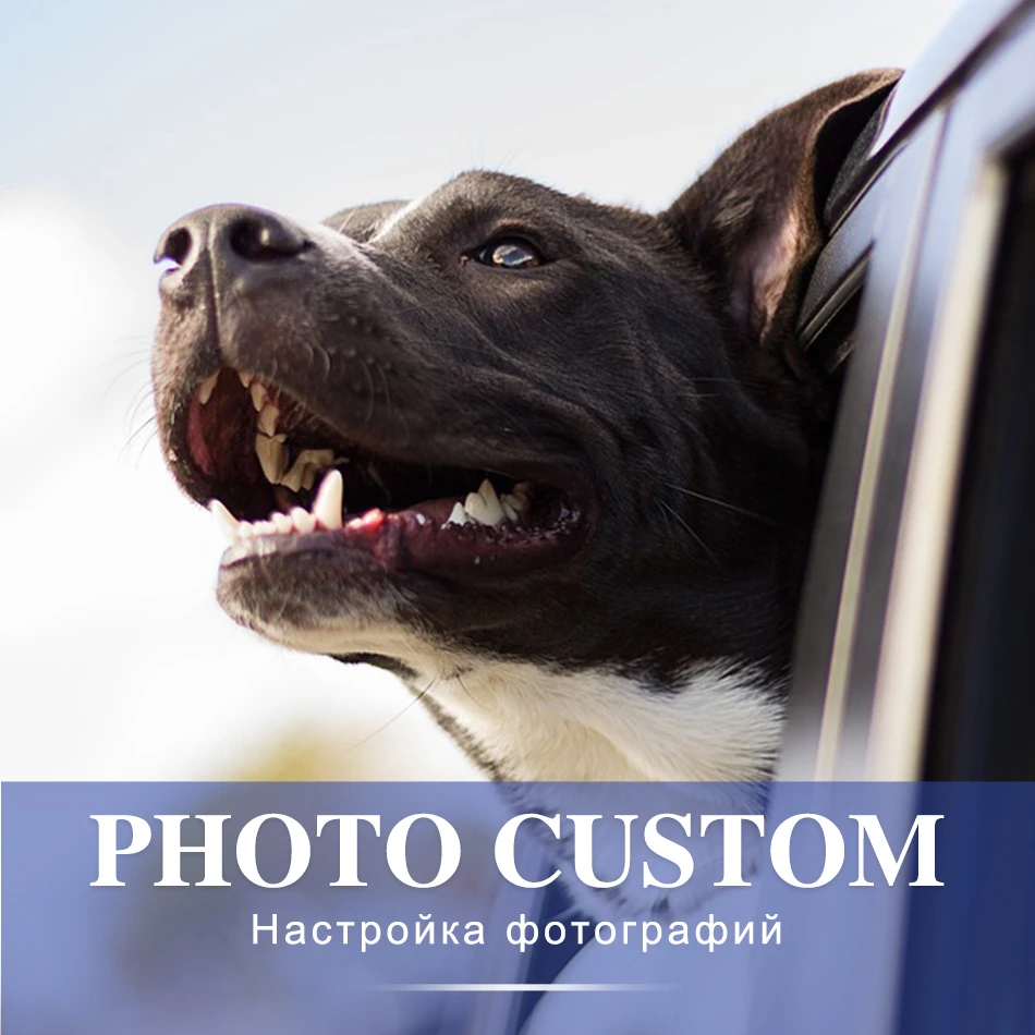 SaShiKo Animals Photo Custom Diamond Painting Full Square Picture of Rhinestone DIY Diamond Mosaic Diamond Embroidery Sale
SaShiKo Animals Photo Custom Diamond Painting Full Square Picture of Rhinestone DIY Diamond Mosaic Diamond Embroidery Sale