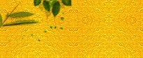 HTB1DL7OQFXXXXbKXXXXq6xXFXXXK