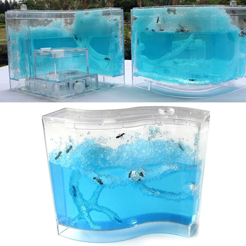 Educational Pet Toy Ant House 73 * 32 * 78mm Pet Terrarium Insects for Live Ants Sand and Voucher Children Colorful Kids
Educational Pet Toy Ant House 73 * 32 * 78mm Pet Terrarium Insects for Live Ants Sand and Voucher Children Colorful Kids