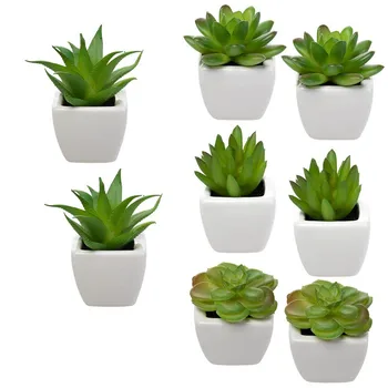 8 Pots, Artificial Succulent Plants Mini Fake Succulent Faux Plant Decoration for Home Green Succulent Artificial in Ceramic Pot
8 Pots, Artificial Succulent Plants Mini Fake Succulent Faux Plant Decoration for Home Green Succulent Artificial in Ceramic Pot
