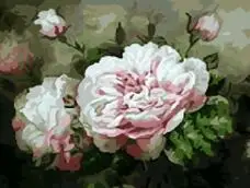 MaHuaf-W1326 Peony Set for painting by numbers on canvas wall art pictures for living room
MaHuaf-W1326 Peony Set for painting by numbers on canvas wall art pictures for living room